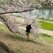 ヒメ日記 2026/03/17 17:14 投稿 わたあめ 密着指導！バカンス学園 尼崎校
