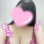 ヒメ日記 2025/09/30 22:29 投稿 こむぎ 白いぽっちゃりさん五反田店