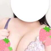 ヒメ日記 2025/10/06 12:19 投稿 こむぎ 白いぽっちゃりさん五反田店