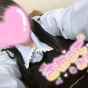 ヒメ日記 2025/11/22 16:13 投稿 こむぎ 白いぽっちゃりさん五反田店