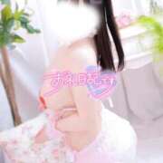 ヒメ日記 2025/11/24 16:19 投稿 こむぎ 白いぽっちゃりさん五反田店