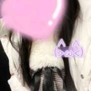 ヒメ日記 2026/01/02 18:49 投稿 こむぎ 白いぽっちゃりさん五反田店