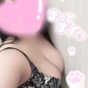 ヒメ日記 2026/01/03 14:09 投稿 こむぎ 白いぽっちゃりさん五反田店