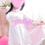 ヒメ日記 2026/01/07 23:19 投稿 こむぎ 白いぽっちゃりさん五反田店