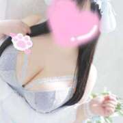 こむぎ ☁️(ᐡ т  ̫ т ᐡ)☁️ 白いぽっちゃりさん五反田店