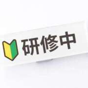 成田【なりた】 体験入店割引🈹 丸妻 西船橋店