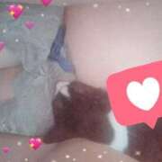 ヒメ日記 2025/10/01 14:37 投稿 きなこ 鹿児島ちゃんこ 薩摩川内店