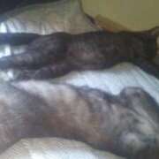 ヒメ日記 2025/10/14 12:42 投稿 きなこ 鹿児島ちゃんこ 薩摩川内店