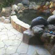 ヒメ日記 2025/10/29 11:20 投稿 きなこ 鹿児島ちゃんこ 薩摩川内店