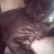 ヒメ日記 2025/11/04 13:22 投稿 きなこ 鹿児島ちゃんこ 薩摩川内店