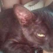 ヒメ日記 2025/12/04 09:56 投稿 きなこ 鹿児島ちゃんこ 薩摩川内店