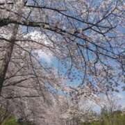 ヒメ日記 2026/04/02 20:48 投稿 きなこ 鹿児島ちゃんこ 薩摩川内店