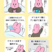 ヒメ日記 2026/04/13 08:45 投稿 きなこ 鹿児島ちゃんこ 薩摩川内店