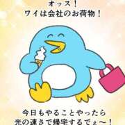 ヒメ日記 2026/07/21 17:42 投稿 きなこ 鹿児島ちゃんこ 薩摩川内店