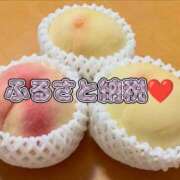 ヒメ日記 2026/07/24 14:23 投稿 きなこ 鹿児島ちゃんこ 薩摩川内店