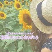 白咲みゆ リクエストありがとうございます✩.*˚ しこたま奥様　熊本店