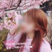 ヒメ日記 2026/03/04 10:07 投稿 白咲みゆ しこたま奥様　熊本店