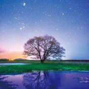 ヒメ日記 2026/03/19 23:44 投稿 白咲みゆ しこたま奥様　熊本店（アクセスグループ）