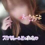 ヒメ日記 2026/04/08 12:16 投稿 白咲みゆ しこたま奥様　熊本店