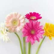 ヒメ日記 2026/04/28 09:34 投稿 白咲みゆ しこたま奥様　熊本店（アクセスグループ）