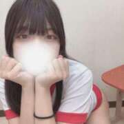 ヒメ日記 2025/10/08 07:01 投稿 いぶ 水戸女学院PTA