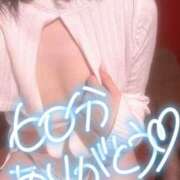 ヒメ日記 2025/11/08 12:36 投稿 ソラ【優しさに包まれるひととき】 ドＭなバニーちゃん小倉店