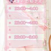 ヒメ日記 2025/09/29 12:10 投稿 のあ 東京エステコレクション 新橋・銀座