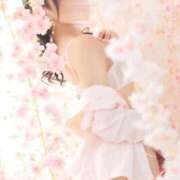 ヒメ日記 2025/09/27 12:09 投稿 ツバキ バニーコレクション秋田店