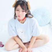 ヒメ日記 2025/10/05 00:45 投稿 ツバキ バニーコレクション秋田店