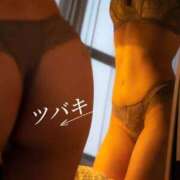 ヒメ日記 2025/10/09 15:15 投稿 ツバキ バニーコレクション秋田店