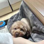 ヒメ日記 2025/10/12 20:28 投稿 ねる G-SPOT