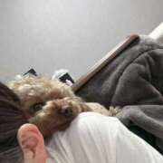 ヒメ日記 2025/10/14 22:16 投稿 ねる G-SPOT