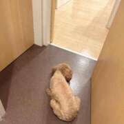 ヒメ日記 2025/10/19 13:42 投稿 ねる G-SPOT