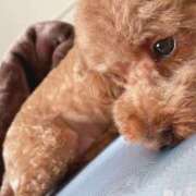 ヒメ日記 2025/11/09 21:46 投稿 ねる G-SPOT