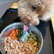 ヒメ日記 2025/11/16 13:55 投稿 ねる G-SPOT