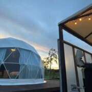 ヒメ日記 2025/10/07 22:50 投稿 恋心（ここ） NOA（ノア）