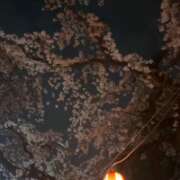 ヒメ日記 2025/10/07 22:55 投稿 恋心（ここ） NOA（ノア）