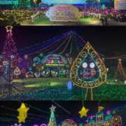 ヒメ日記 2025/11/17 20:13 投稿 恋心（ここ） NOA（ノア）