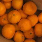 ヒメ日記 2025/12/19 09:04 投稿 恋心（ここ） NOA（ノア）