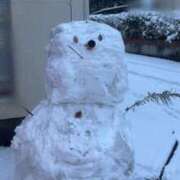 ヒメ日記 2025/12/20 14:17 投稿 恋心（ここ） NOA（ノア）