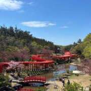 ヒメ日記 2026/04/30 23:16 投稿 恋心（ここ） NOA（ノア）
