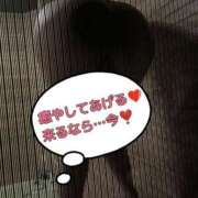 ヒメ日記 2025/12/11 12:40 投稿 ことね 秘密倶楽部 凛 錦糸町店