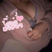 ヒメ日記 2025/11/04 16:06 投稿 ゆら 横浜ひよこ倶楽部