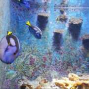 ヒメ日記 2025/10/20 01:25 投稿 ゆうり 横浜ミセスアロマ（ユメオト）