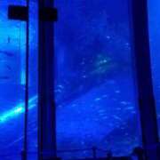 ヒメ日記 2025/10/21 03:45 投稿 ゆうり 横浜ミセスアロマ（ユメオト）