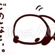 ヒメ日記 2025/11/08 11:08 投稿 ゆうり 横浜ミセスアロマ（ユメオト）