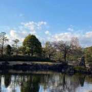 ヒメ日記 2025/11/14 09:48 投稿 ゆうり 横浜ミセスアロマ（ユメオト）