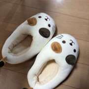 ヒメ日記 2025/11/21 14:11 投稿 ゆうり 横浜ミセスアロマ（ユメオト）