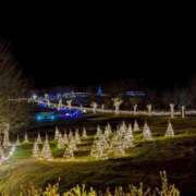 ヒメ日記 2025/12/02 12:26 投稿 ゆうり 横浜ミセスアロマ（ユメオト）