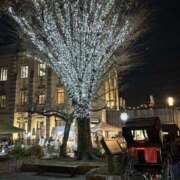 ヒメ日記 2025/12/19 02:50 投稿 ゆうり 横浜ミセスアロマ（ユメオト）